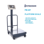 100 Kg Platform Weighing Scale